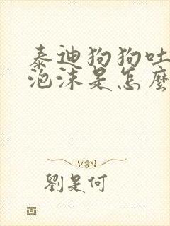 泰迪狗狗吐白色泡沫是怎么回事