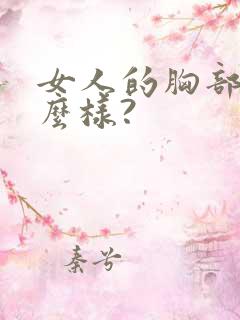 女人的胸部长什么样?