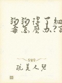 狗狗得了细小病毒怎么办?该如何治疗?