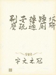 刷子掉蹲坑了怎么疏通厕所