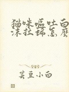 猫咪呕吐白色泡沫拉稀怎么办