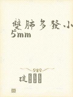 双肺多发小结节5mm