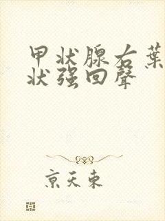 甲状腺右叶斑点状强回声