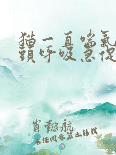 猫一直喘气吐舌头呼吸急促