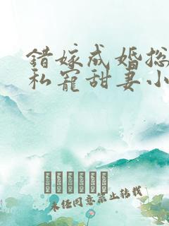 错嫁成婚总裁的私宠甜妻小说