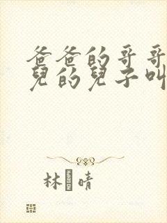 爸爸的哥哥的女儿的儿子叫我什么