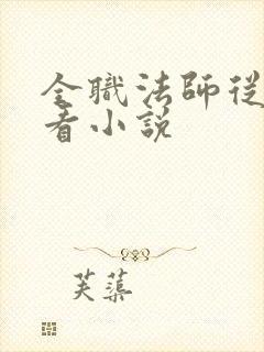 全职法师从哪里看小说