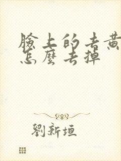 脸上的去黄褐斑怎么去掉