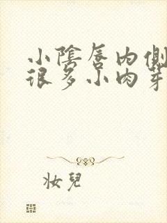 小阴唇内侧长了很多小肉芽怎么办