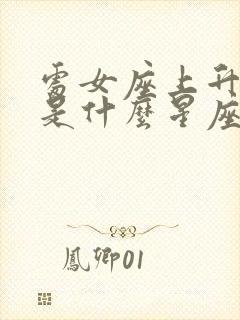 处女座上升星座是什么星座怎么算