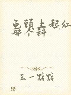 龟头上起红斑挂哪个科