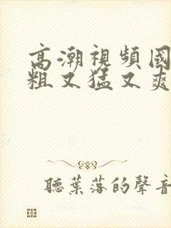 高潮视频国产又粗又猛又爽又黄的视频