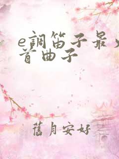 e调笛子最火十首曲子