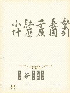 小肚子长赘肉是什么原因引起的