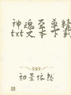 神魂至尊精校版txt文本下载