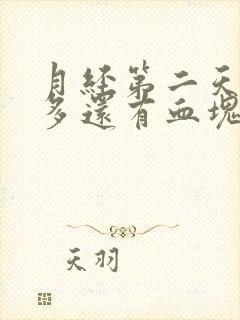 月经第二天特别多还有血块