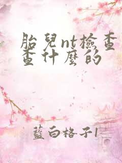 胎儿nt检查是查什么的