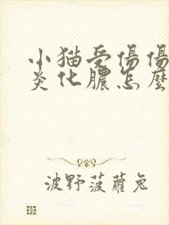 小猫受伤伤口发炎化脓怎么办