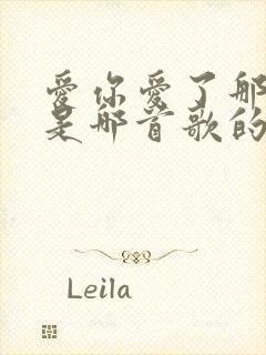 爱你爱了那么久是哪首歌的歌词