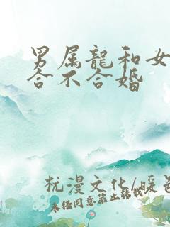 男属龙和女属羊合不合婚