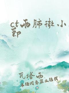 ct两肺微小结节