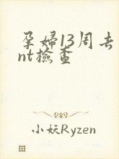 孕妇13周去查nt检查