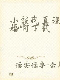 小说我真没想结婚啊下载