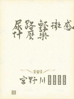 尿路轻微感染吃什么药