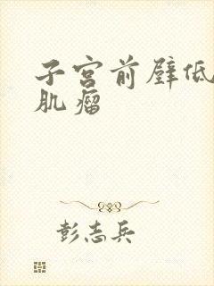 子宫前壁低回声肌瘤