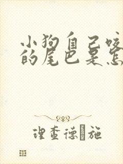 小狗自己咬自己的尾巴是怎么回事