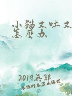 小猫又吐又拉稀怎么办