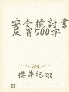 安全检讨书自我反省500字