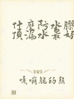 什么防水胶补房顶漏水最好