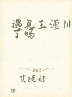 遇见王沥川获奖了吗