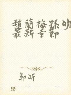 赵兰梅孙明小说最新章节