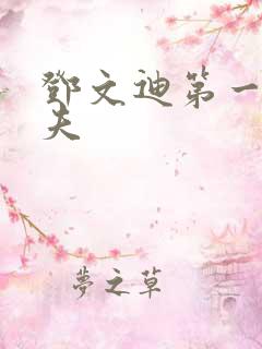 邓文迪第一任丈夫