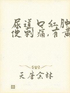 尿道口红肿,小便刺痛,有黄色分泌物