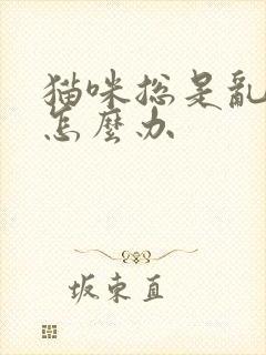 猫咪总是乱拉尿怎么办