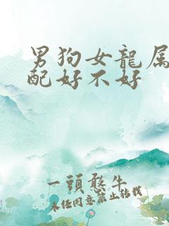 男狗女龙属相婚配好不好