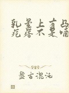 乳晕上有凸起小疙瘩不是哺乳期