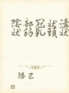 阴部冠状沟菜花状的乳头状疣