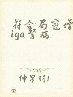 符合局灶增生性iga肾病