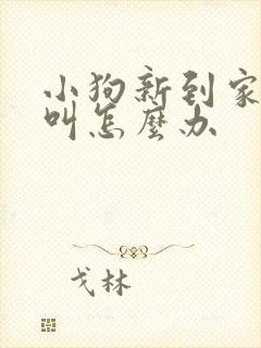 小狗新到家一直叫怎么办