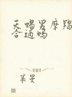 天蝎男摩羯女座合适吗