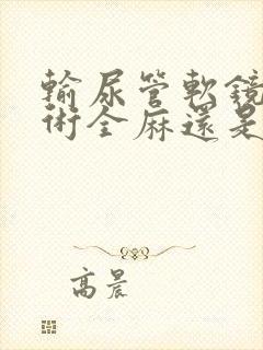 输尿管软镜碎石术全麻还是半麻