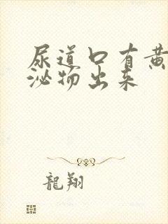 尿道口有黄色分泌物出来