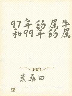 97年的属牛女和99年的属兔男