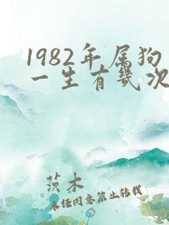 1982年属狗一生有几次婚姻
