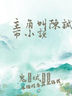 主角叫陈诚的都市小说