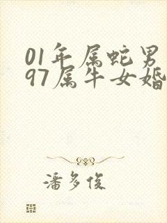 01年属蛇男和97属牛女婚配